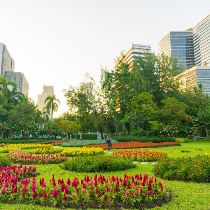 City public park with modern building Lumpini park City public park with modern building Lumpini park, Bangkok Thailand